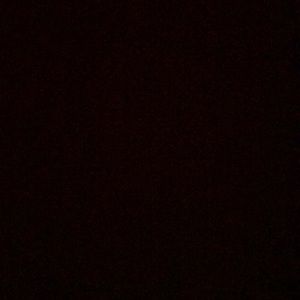 Meet your Posher, Aneudis